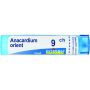 Granuli Anacardium Orientale 09Ch da 4g - Boiron