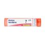 Boiron Arnica Montana 07Ch Granuli Omeopatici, Tubo da 4g