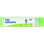 Boiron Calcarea Carbonica 05Ch - Tubo di Granuli Omeopatici da 4g