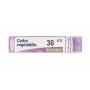 Boiron Carbo Vegetabilis 30Ch - Granuli Omeopatici 4g