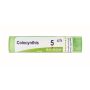 Boiron Colocynthis 05CH - Granuli Omeopatici 4g