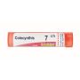 Boiron Colocynthis 07Ch - Granuli Omeopatici 4g