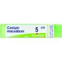 Boiron Conium Maculatum 05Ch - Tubo di Granuli Omeopatici da 4g