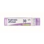 Boiron Euphrasia Officinalis 30Ch Granuli Omeopatici - Tubo da 4g