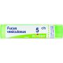 Boiron Fucus Vesiculosus 05Ch - Tubo di Granuli Omeopatici 4g