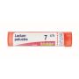 Granuli Boiron Ledum Palustre 07Ch in Tubo da 4g