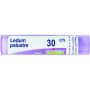 Boiron Ledum Palustre 30Ch - Tubo da 4g di Granuli Omeopatici