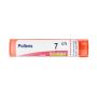 Boiron Pollens Granules 07Ch - Tubo da 4g