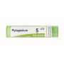Granuli Pyrogenium 05Ch di Boiron - Tubo da 4g