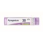 Granuli Pyrogenium 30Ch Boiron in Tubo da 4g
