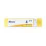 Boiron Silicea 04Ch - Granuli Omeopatici in Tubo da 4g