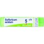 Boiron Sulfuricum Acidum 05Ch - Granuli Omeopatici 4g