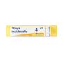 Boiron Thuya Occidentalis 04Ch - Granuli Omeopatici 4g