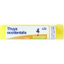 Boiron Thuya Occidentalis 04Ch - Granuli Omeopatici 4g