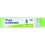 Granuli Boiron Thuya Occidentalis 05Ch - Tubo da 4g