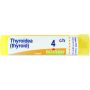 Boiron Thyroidea 04Ch - Granuli omeopatici per tiroide, Tubo da 4g