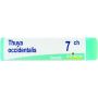 Boiron Thuya Occidentalis 07Ch Globuli - 1g Dose