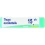 Boiron Thuya Occidentalis 15Ch Globuli - Confezione da 1g
