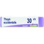 Boiron Thuya Occidentalis 30Ch - Globuli Omeopatici, 1g