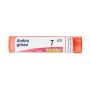 Boiron Ambra Grisea 07Ch - Granuli Omeopatici 4g