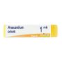 Boiron Anacardium Orientale 1Mk Globuli Omeopatici - 1g