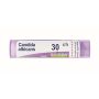 Boiron Candida Albicans 30CH - Granuli Omeopatici 4g