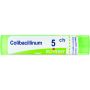 Boiron Colibacillinum 05Ch - Tubo di Granuli Omeopatici, 4g