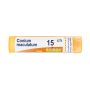 Conium Maculatum 15Ch Granuli di Boiron in Tubo da 4g