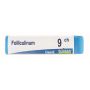 Boiron Folliculinum 09Ch Globuli - Dose da 1g