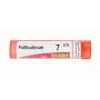 Boiron Folliculinum 07Ch - Granuli Omeopatici 4g