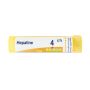 Boiron Hepatine 04Ch - Granuli Omeopatici da 4g in Tubo