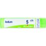 Boiron Iodum 05Ch - Granuli Omeopatici in Tubo da 4g