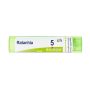 Boiron Ratanhia 05Ch Granuli Omeopatici - Tubo da 4g