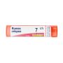 Boiron Rumex Crispus 07Ch - Granuli Omeopatici 4g