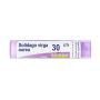 Boiron Solidago Virga Aurea 30Ch - Granuli Omeopatici 4g