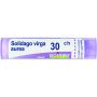 Boiron Solidago Virga Aurea 30Ch - Granuli Omeopatici 4g