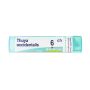 Boiron Thuya Occidentalis 06Ch Granuli - Tubo da 4g