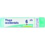 Boiron Thuya Occidentalis 06Ch Granuli - Tubo da 4g