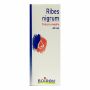 Boiron Ribes Nigrum Tintura Madre – Integratore Naturale, 60ml