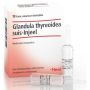 Guna Heel Glandula Thyroidea Suis Injeel - 10 Fiale