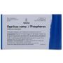 Weleda Agaricus Phosphorus - Set di 8 Fiale da 1ml per il Benessere del Corpo