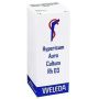 Weleda Hypericum Auro Rimedio Omeopatico RH D3, 20ml