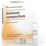 Guna Heel Saolanum Compositum - Pacco da 10 Fiale da 2,2ml