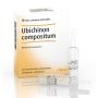 Heel Ubichinon Compositum - Pacco da 10 Fiale da 2,2ml