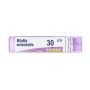 Granuli Boiron Blatta Orientalis 30Ch - Tubo da 4g