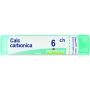 Boiron Calcarea Carbonica 06Ch - Granuli Omeopatici, Tubo da 4g