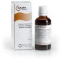 Amara Pascoe - Gocce Digestive 50ml
