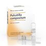 Pulsatilla Compositum di Hell - Pacchetto da 10 Fiale da 2,2ml