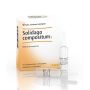 Guna Heel Solidago Compositum - 10 Fiale da 2,2ml