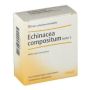 Heel Echinacea Composta S Forte - Confezione da 10 Fiale